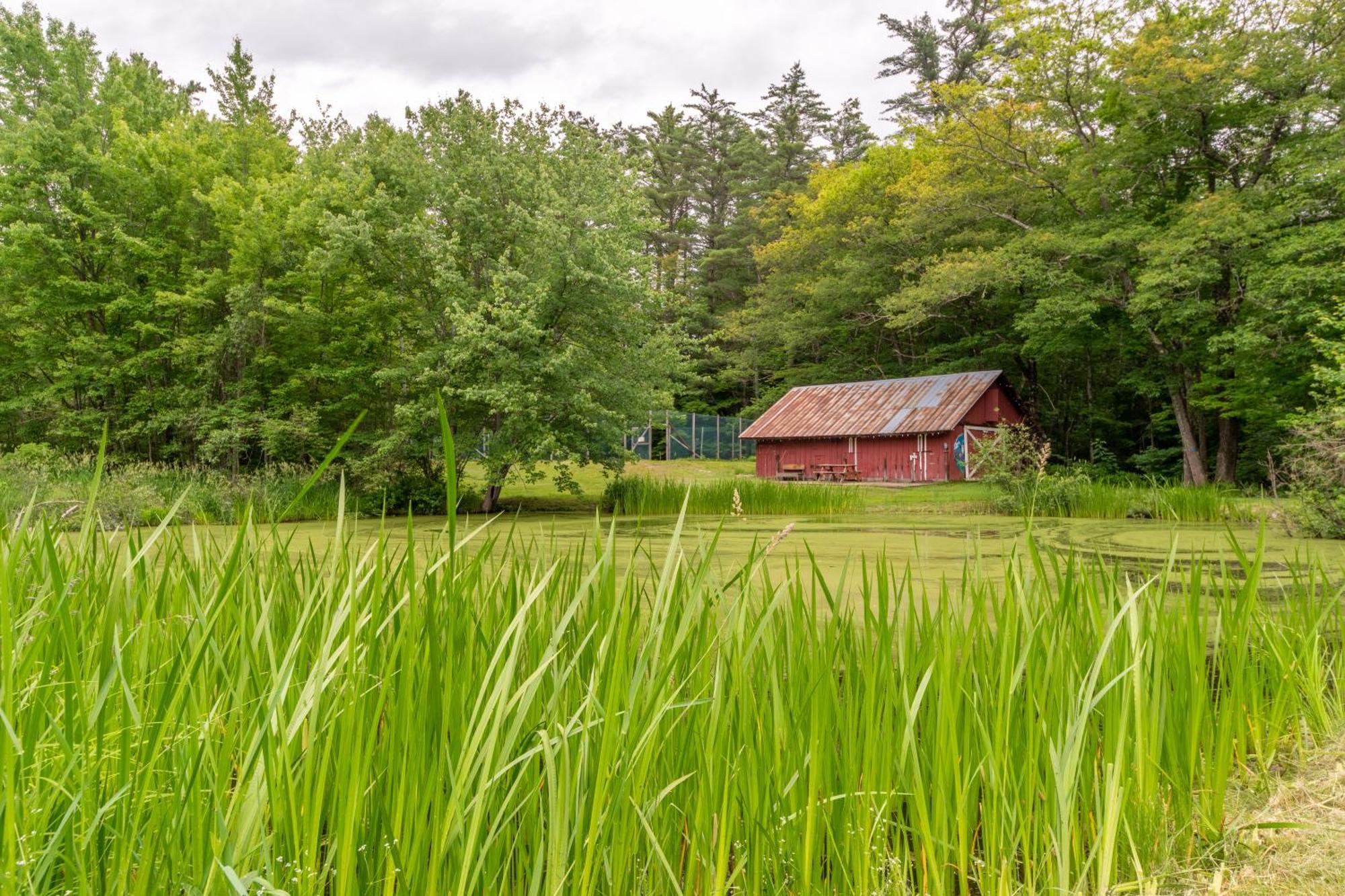 Cranmore Mountain Lodge Bed & Breakfast North Conway Ngoại thất bức ảnh